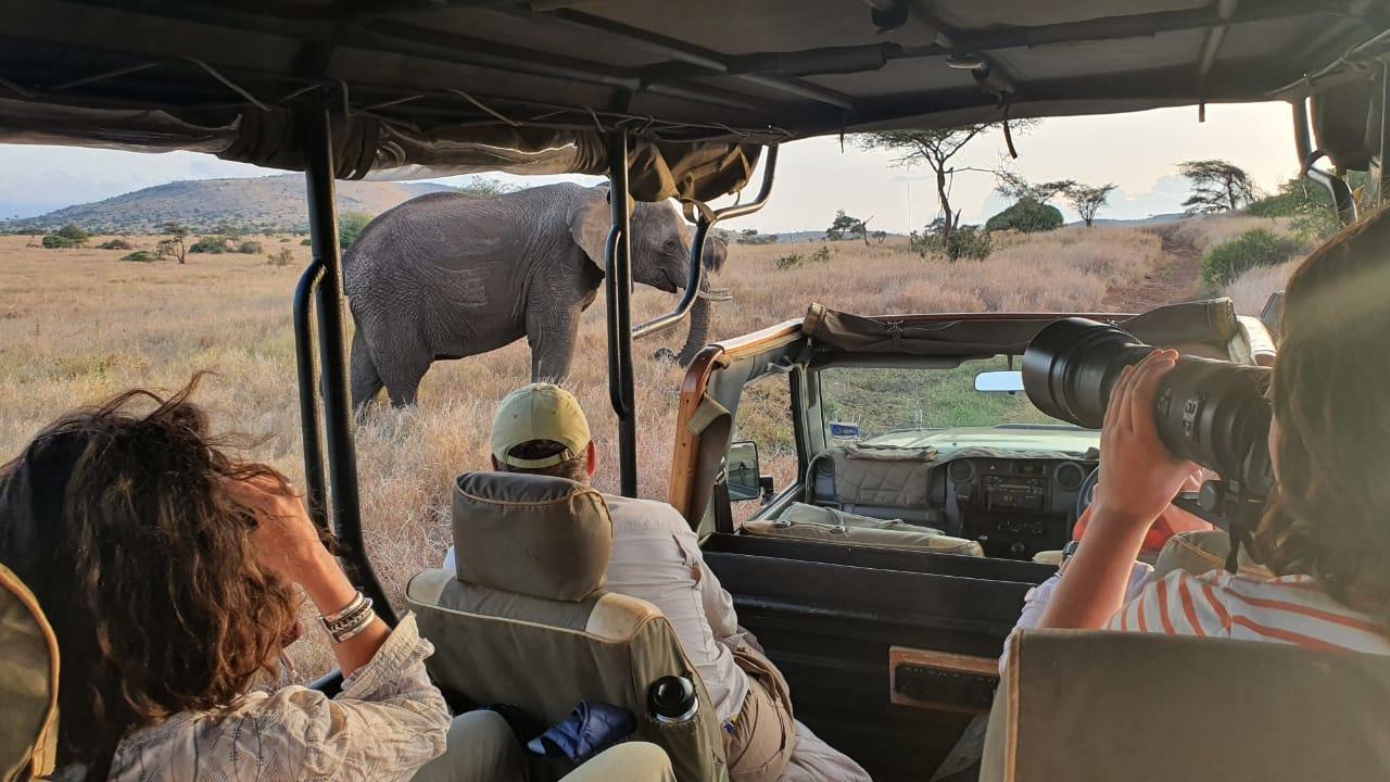 Lewa House thumbnail 15